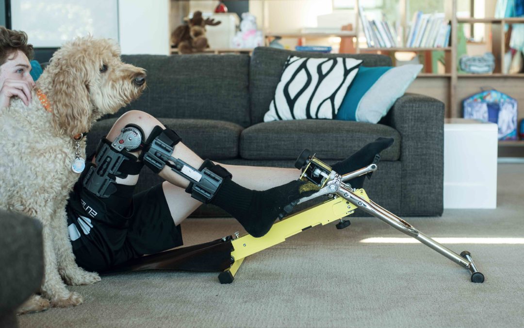 Live: Stationary Recumbent Exercise Bike for Home Training, Physical Therapy, and Cardio