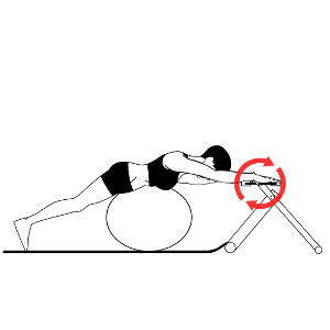 Excy Swimmer Exercise with Exercise Ball Excy Swimmer Exercise with Exercise Ball