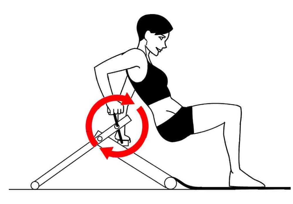 Excy Triceps Dip Bridge Cycling Home Physical Therapy Excy Triceps Dip Bridge Cycling Home Physical Therapy