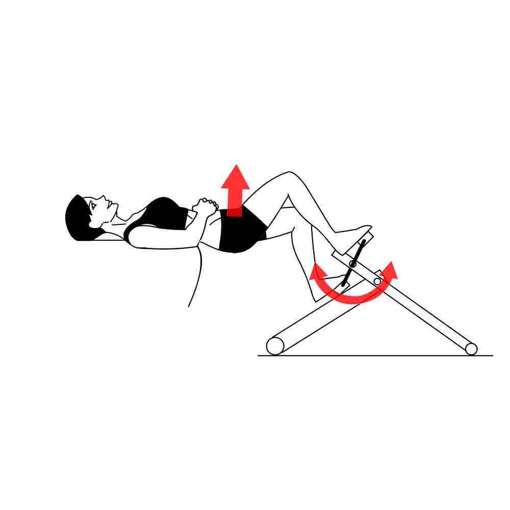 Glute Bridge Couch Pedal Exerciser with Excy Portable Exercise Bike Back and Forth Glute Bridge Couch Pedal Exerciser with Excy Portable Exercise Bike Back and Forth
