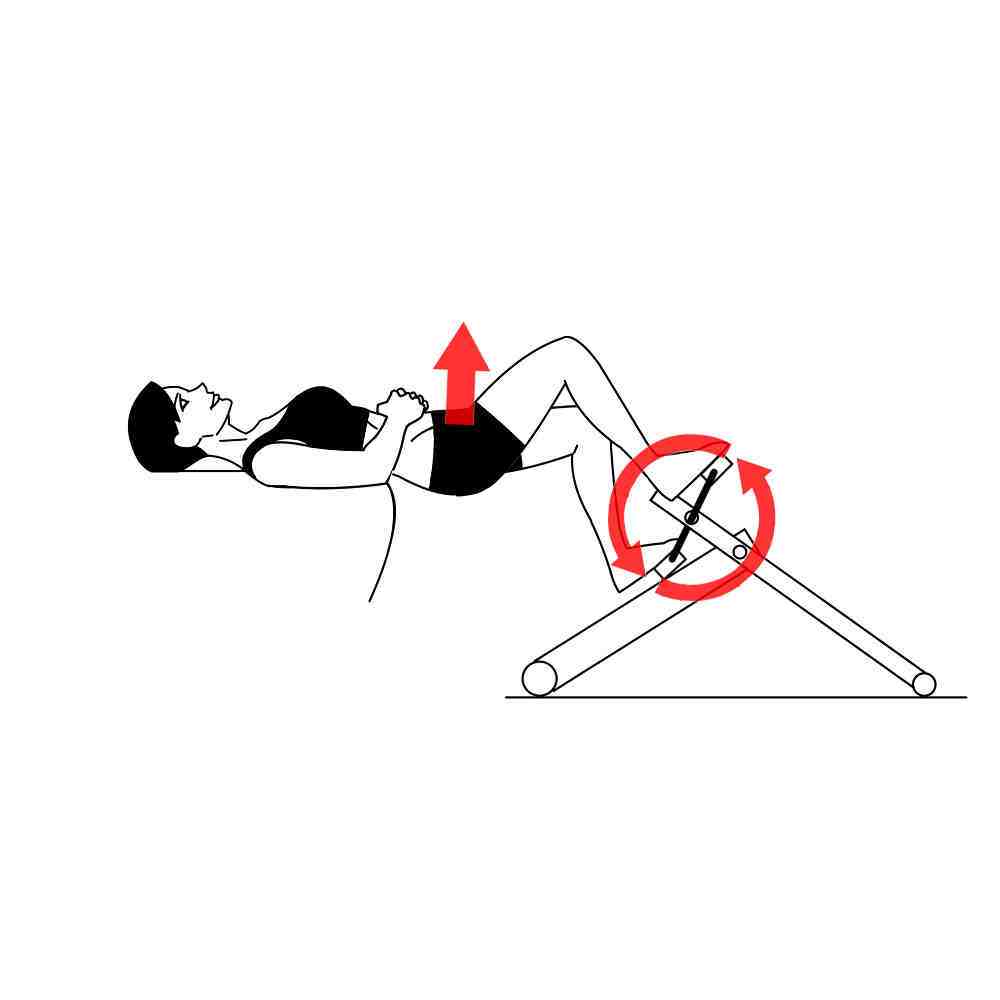Glute Bridge Couch Pedal Exerciser with Excy Portable Exercise Bike Pedal in Reverse Glute Bridge Couch Pedal Exerciser with Excy Portable Exercise Bike Pedal in Reverse