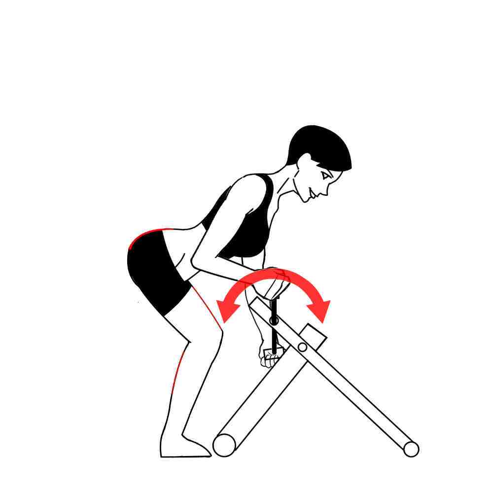 Hand Ergometer Squat-N-Cycle with Excy Portable Exercise Bike Back and Forth Hand Ergometer Squat-N-Cycle with Excy Portable Exercise Bike Back and Forth