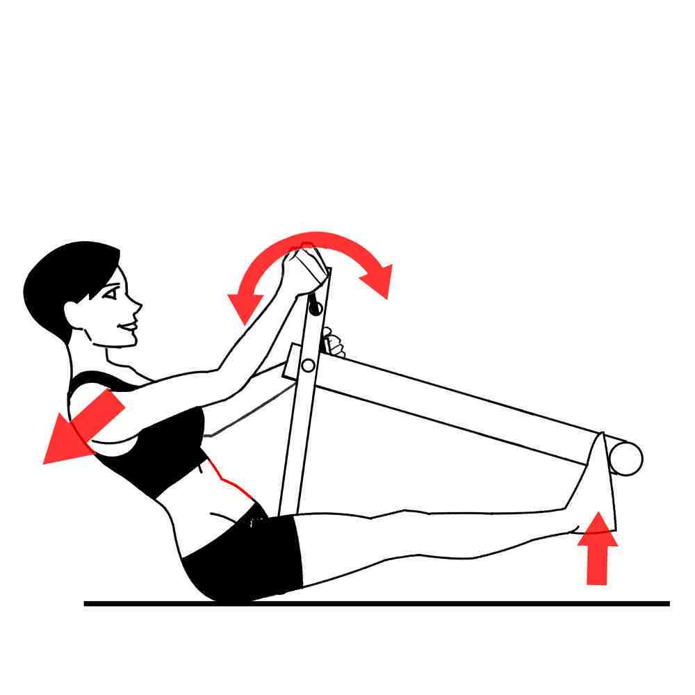 Rowing Exercise Excy Quality Upper Body Ergometer Back and Forth Rowing Exercise Excy Quality Upper Body Ergometer Back and Forth