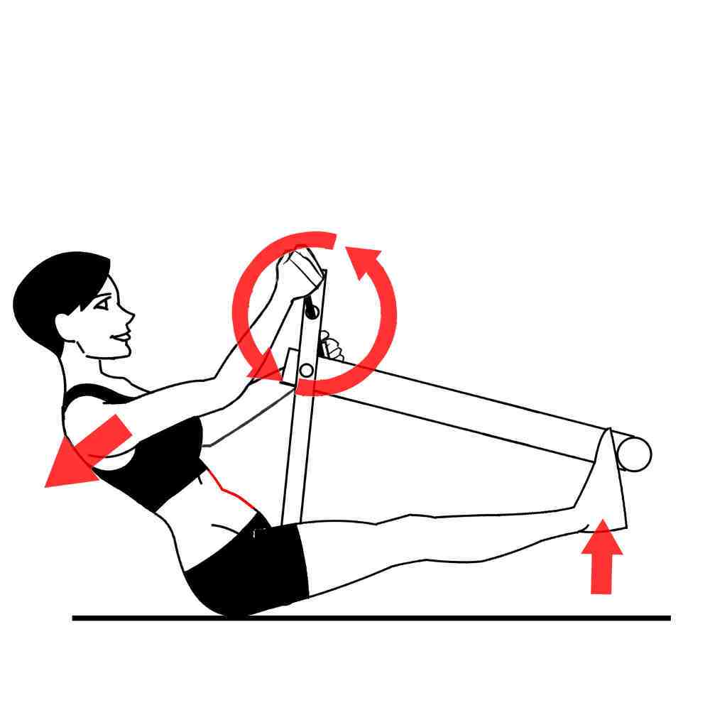 Rowing Exercise Excy Quality Upper Body Ergometer Backwards Pedaling Rowing Exercise Excy Quality Upper Body Ergometer Backwards Pedaling