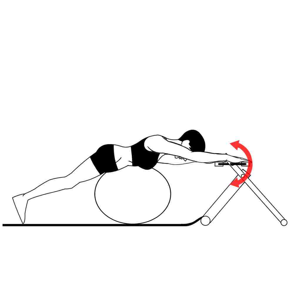 Swim Exercises with Excy Upper Body Ergometer Using an Exercise Ball Hand Crank Back and Forth Swim Exercises with Excy Upper Body Ergometer Using an Exercise Ball Hand Crank Back and Forth
