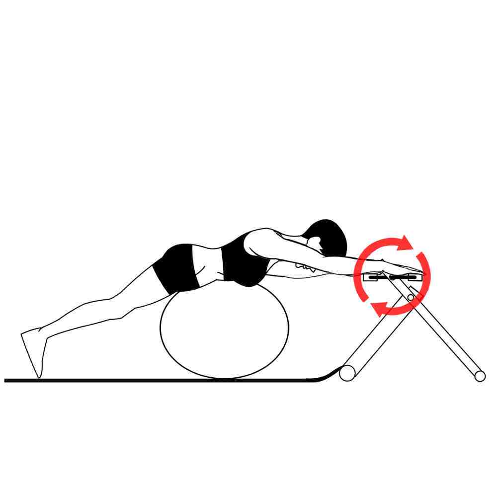 Swim Exercises with Excy Upper Body Ergometer Using an Exercise Ball Pedal Exerciser Forward Swim Exercises with Excy Upper Body Ergometer Using an Exercise Ball Pedal Exerciser Forward