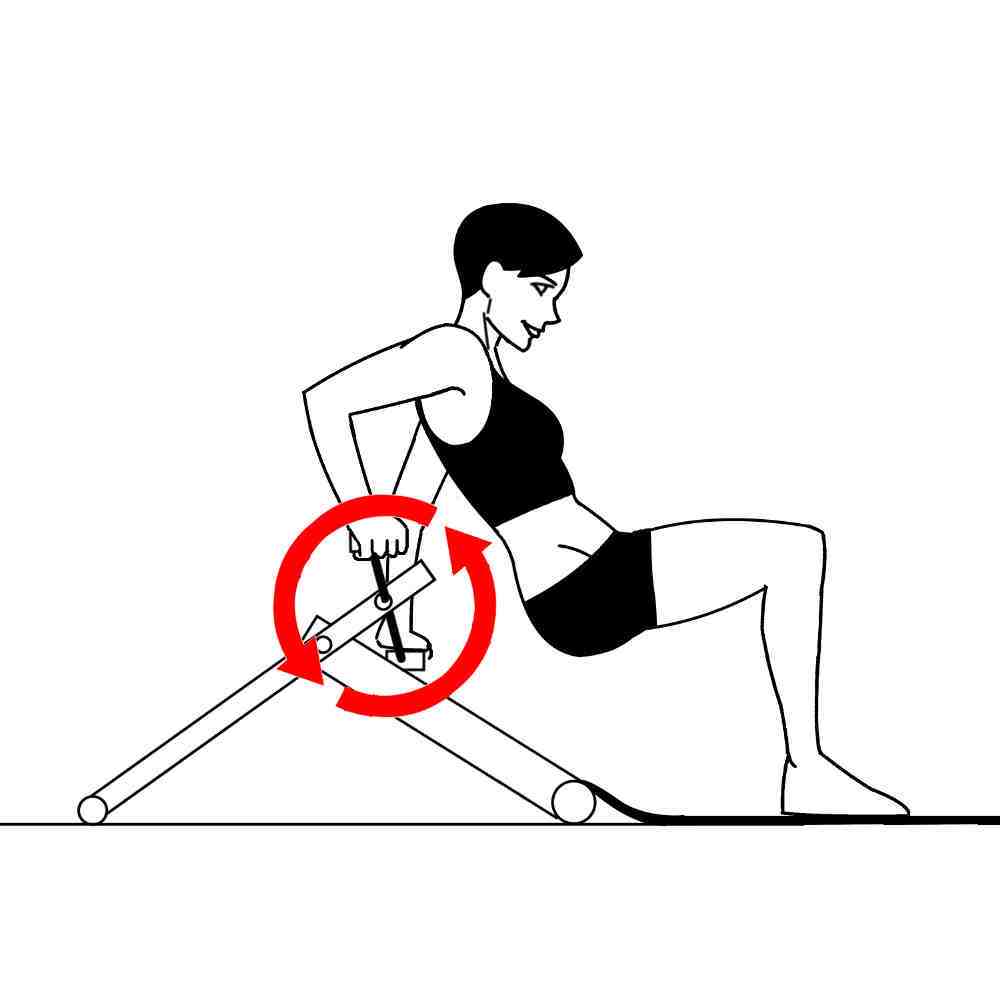 Tricep Dip Bridge Exercycle with Excy Upper Body Ergometer UBE Hand Cycle Backwards Pedaling Tricep Dip Bridge Exercycle with Excy Upper Body Ergometer UBE Hand Cycle Backwards Pedaling